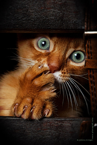 Illustration for article titled For those of us having an unexcellent night(200+ image warning):